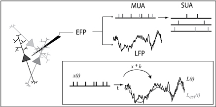 Rasch et al 2009