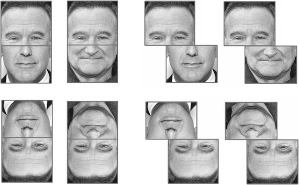 CompositeFaceIllusion
