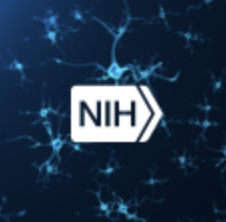 NIH Consciousness Workshop 2023