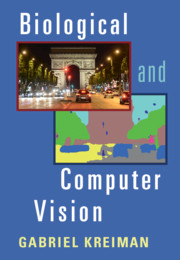 Biological and Computer Vision Book