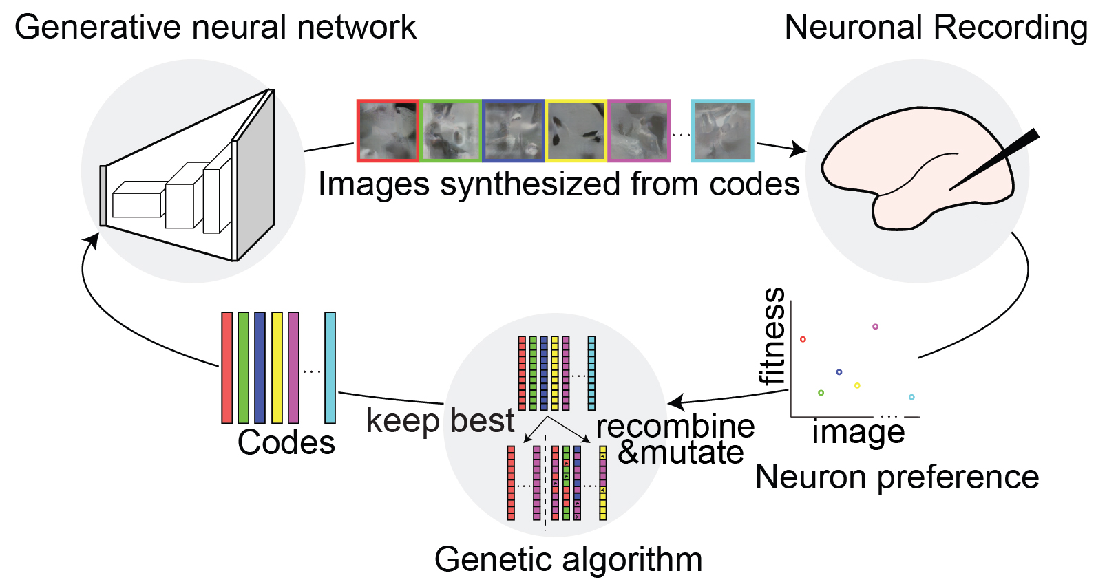 Ponce Xiao et al 2019