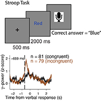 Tang et al Stroop effect