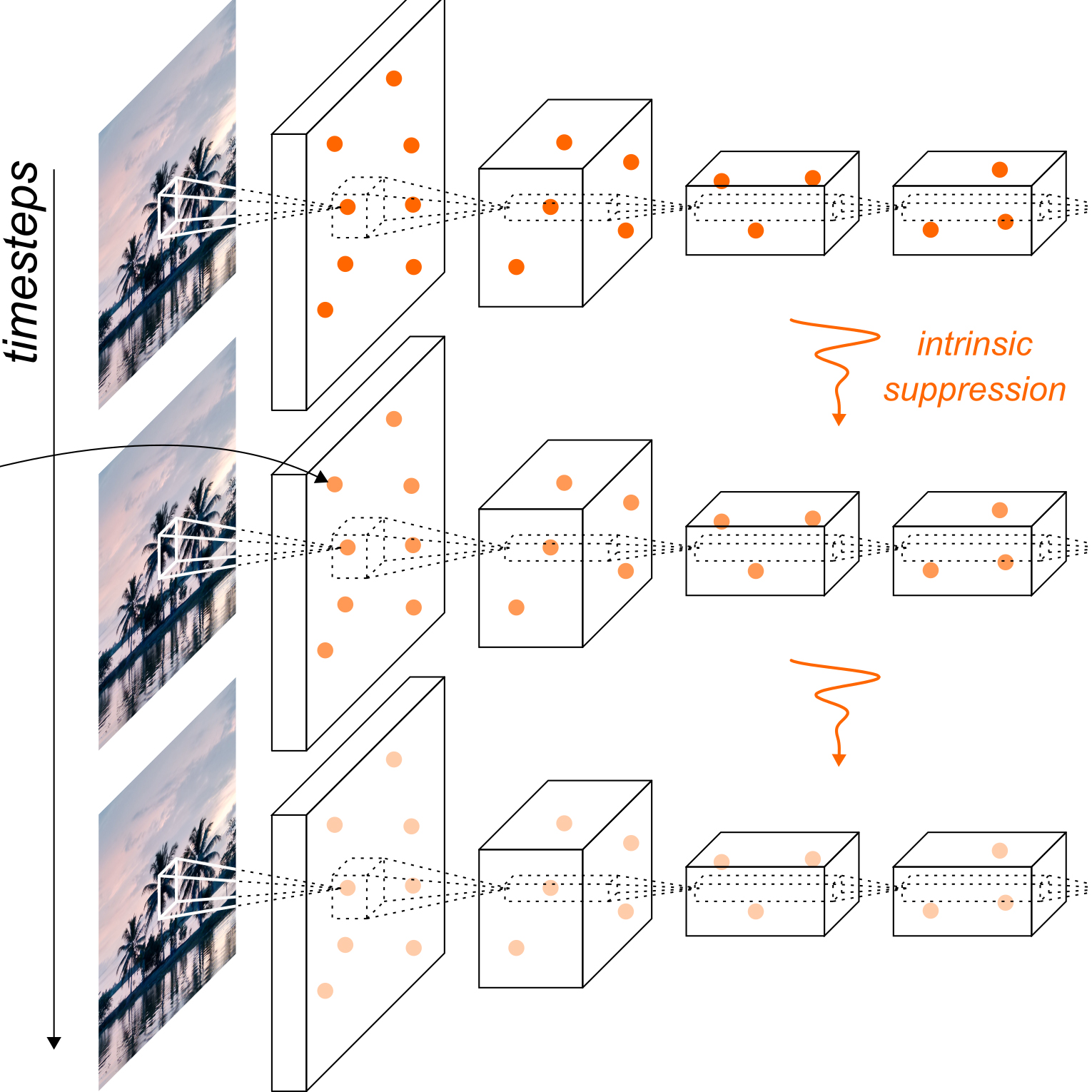 Adaptation in deep convolutional neural networks